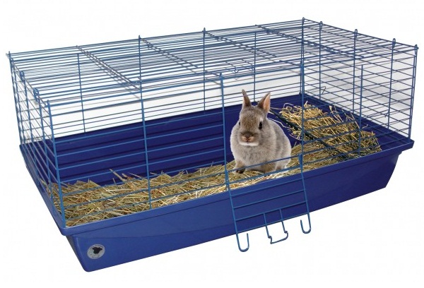 Nettoyage cage lapin