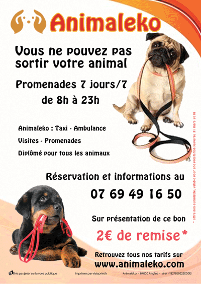 Promotion promenade chien Animaleko sur Biarritz, Anglet et Bayonne