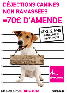 Affiche-amende-déjection-canine-Bayonne